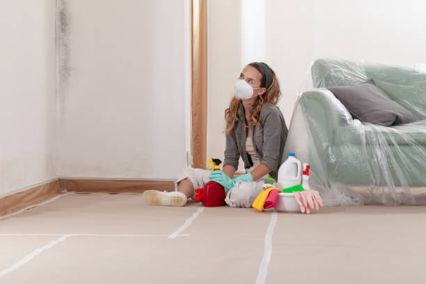 Reliable Mold Remediation contractor in North, VA by WQB Mold Removal